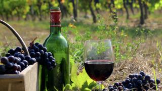 Классификация и вино. Бордо и его классификации