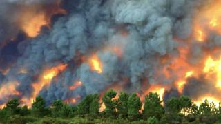 Португалия продолжает бороться с пожарами