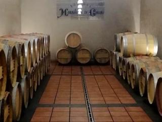 Винодельня Monasterio de Corias