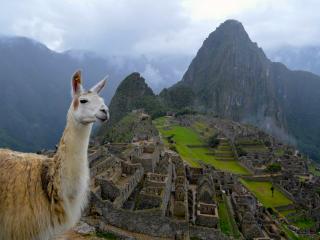 Южная Америка. Самые интересные факты о Перу
